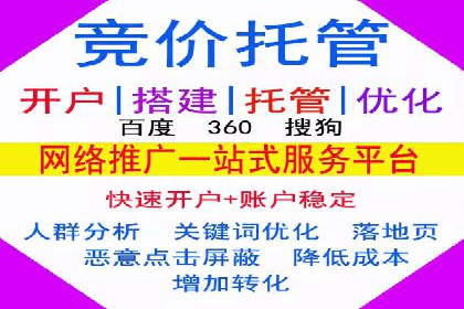 案例展示：SEM账户托管服务成果